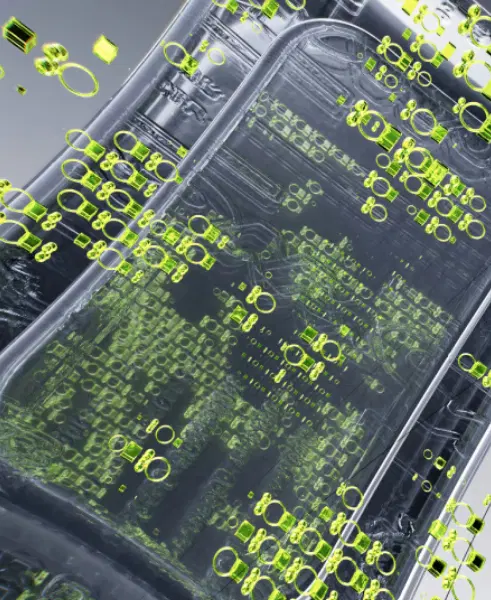 Neural Network